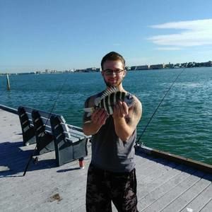 Meet your Posher, Bailey